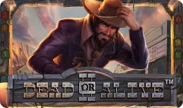 Play Dead or Alive 2 at Slots Charm Casino