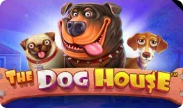 Play The Dog House at Slots Charm Casino